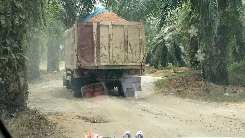Trik pengangkut material galain C yang diduga ilegal di Kelurahan Bingai, Kecamatan Wampu, Langkat saat melintasi perkebunan PT LNK.