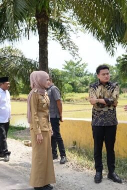 Ricky Anthony Boyong OPD Tinjau Jalan Provinsi di Pangkalan Susu