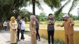 Pimpinan DPRD Sumut Ricky Anthony bersama OPD dari Pemrov Sumut dan Kecamatan Pangkalan Susu meninjau infrastruktur.